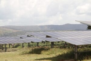 Modelos  innovadores,  claves para desbloquear mercados de carbono en África