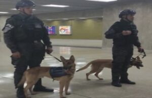 Organismos de seguridad impulsan Plan Buhonería Cero en el Metro de Caracas