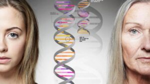 Qué son los "genes saltarines" y por qué pueden ser clave para frenar el envejecimiento