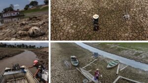 Severa sequía en Amazonía brasileña afecta a 633 mil personas y 62 ciudades