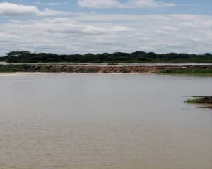 Sur del Lago: más de 16 mil hectáreas siguen inundadas
