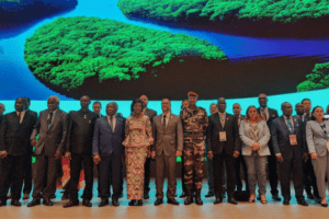 Venezuela y el Congo sostuvieron encuentro para ratificar posiciones en materia ambiental