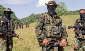 Investigan presencia de grupos armados ilegales en la zona del Cauca.