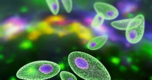 ¿Deberíamos conservar los parásitos? Por qué son importantes para la evolución de la vida