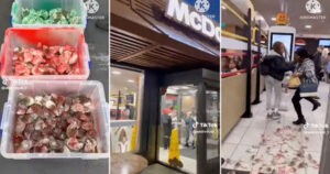 Activista soltó en un McDonald's de Londres, decenas de ratones para protestar contra Israel (Video) - AlbertoNews
