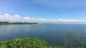 Autoridades retiran nueve toneladas de desechos de orillas del Lago de Maracaibo