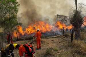 Bolivia recibe la ayuda de Francia y Chile para su lucha contra los incendios forestales - AlbertoNews