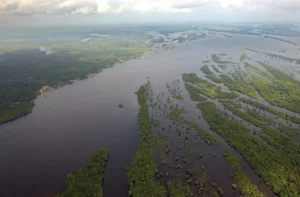 Brasil lanza programa para fomentar exportaciones de productos sustentables de la Amazonía - AlbertoNews
