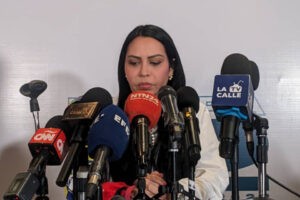 Delsa Solórzano denunció que el Sebin se llevó a activista de su organización política