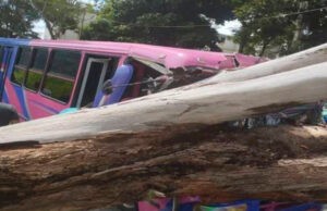 Diez lesionados dejó caída de árbol sobre un autobús en Mérida