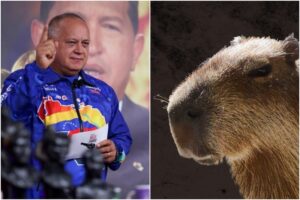 Diosdado Cabello presentará una demanda contra el Chigüire Bipolar por nota satírica sobre Perú y la Vinotinto