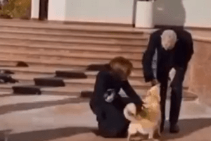 El perro de la presidenta de Moldavia muerde al presidente de Austria durante una visita oficial