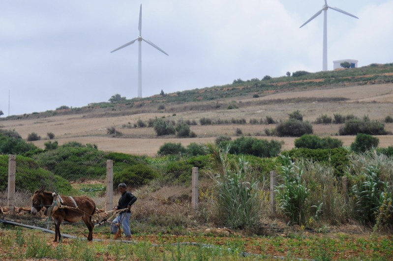 En países del Sur hay vacío de políticas de energía renovable
