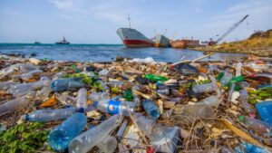 Envases reusables pueden eliminar a un billón de los plásticos