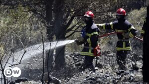 Francia envía bomberos a Bolivia por incendios forestales – DW – 24/11/2023