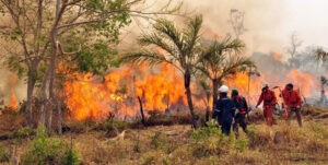 Gobierno venezolano envía otros 46 expertos a Bolivia para el combate de incendios forestales