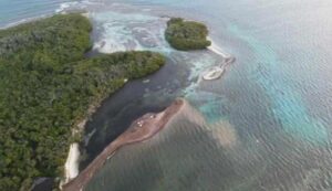 Habitantes de Los Roques denunciaron caso de deforestación en el archipiélago (Fotos y video)