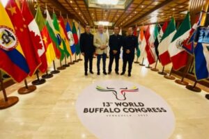Inauguraron el XIII Congreso Mundial de Búfalos: Venezuela es el quinto país del mundo con más cabezas de este animal - AlbertoNews