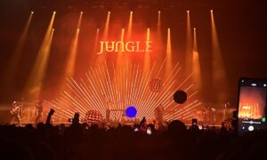 Jungle en Bogota - noviembre 2023