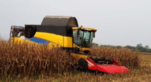 La Confederación Agraria de Ucrania advierte de que "cultivar maíz y trigo ya no es rentable"
