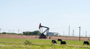 La OPEP desvela quién está detrás de la caída del petróleo