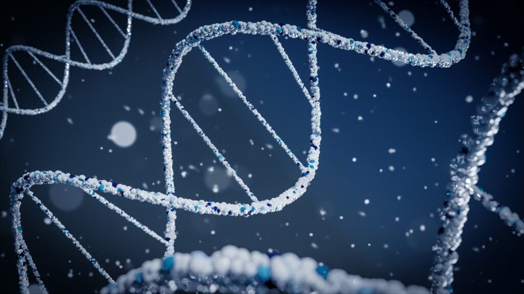 Localizan cientos de miles de regiones del ADN esenciales para nuestra biología y salud