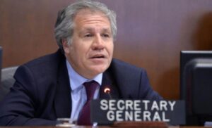 Oposición y oficialismo rechazaron declaraciones del secretario de la OEA Luis Almagro