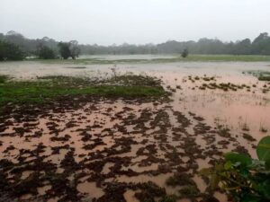 Por qué el cambio climático puede impulsar el adelantamiento de la temporada de ciclones tropicales - AlbertoNews