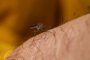 Reportan brote de lechina, fiebre y gripe en Delta Amacuro