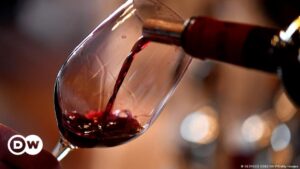 Revelan posible causa de dolor de cabeza tras beber vino – DW – 20/11/2023
