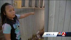 Terror en Florida: niño confundió una mortal criatura con un "animal de peluche" en el patio de su abuela (VIDEO)