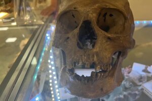 Un antroplogo descubre un crneo humano en la seccin de Halloween de una tienda de Florida