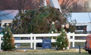 ¡Insólito! Un fuerte viento derribó el árbol de Navidad de la Casa Blanca (Video) - AlbertoNews
