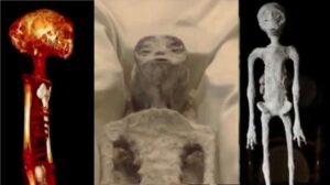 Análisis genético confirma que “momias alienígenas” exhibidas en México no pertenecen a ninguna especie conocida