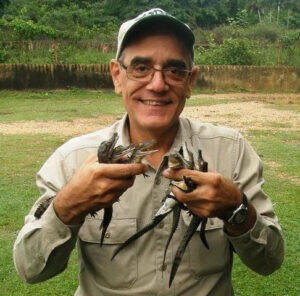 Caimán del Orinoco y sapito arlequín al borde de la extinción en Venezuela: ¿cómo evitarlo?