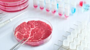 Carne cultivada en laboratorios o carne sintética: qué es y cómo se produce