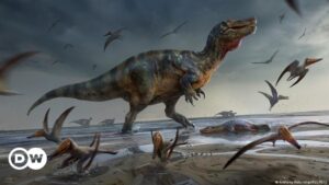 Cómo los dinosaurios cambiaron el envejecimiento humano – DW – 04/12/2023