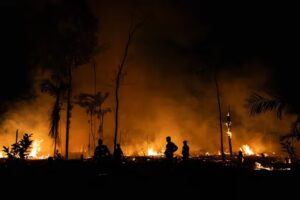 Cómo los incendios forestales pueden propagar sustancias químicas cancerígenas - AlbertoNews