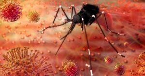 Conoce diez enfermedades transmitidas por mosquitos