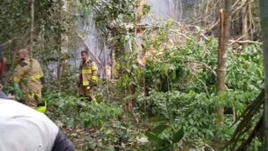 Cuatro muertos al caer una avioneta en un área residencial de un municipio brasileño - AlbertoNews