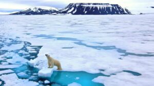 El Ártico entrega nueva evidencia del cambio climático
