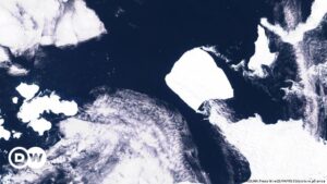El iceberg más grande del mundo se dirige a mar abierto – DW – 01/12/2023