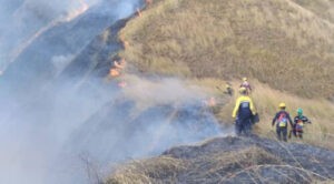 Incendio de gran magnitud consume 250 hectáreas del Parque Henri Pittier