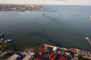 La contaminación asfixia al lago más grande de América Latina
