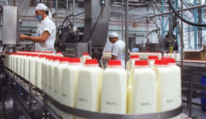 La producción láctea en Venezuela durante el 2023 fue estable con respecto a otros rubros