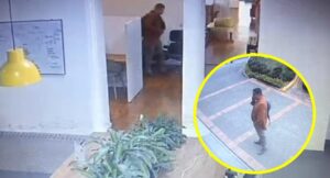 Ladrón se robó computador de tienda de mascotas en Bogotá