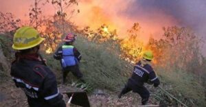 Operación Llovizna sofocó incendios en el Parque Nacional Henri Pittier