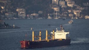 Ucrania calcula haber exportado 13 millones de toneladas de mercancías a través del Mar Negro