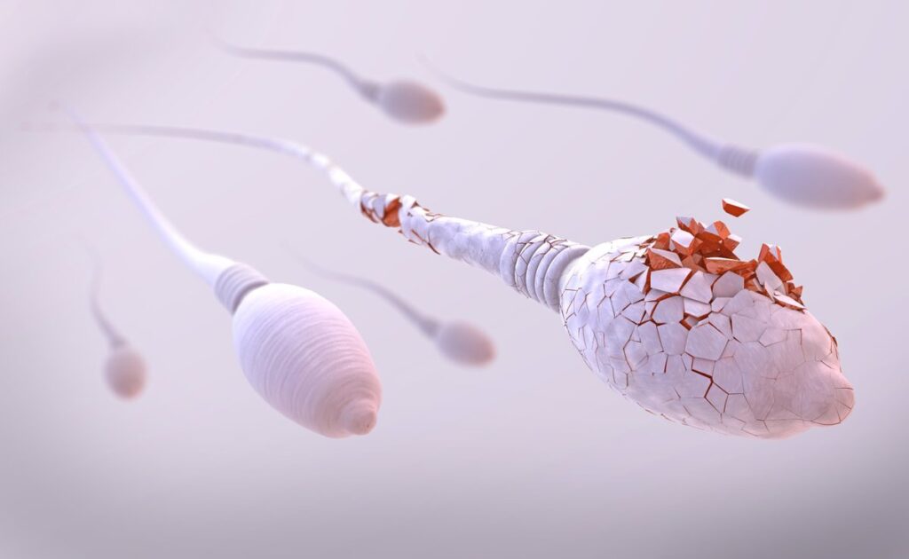 Últimas novedades de los anticonceptivos masculinos, ¿adiós al preservativo?