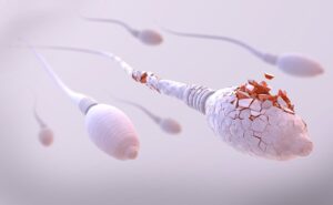 Últimas novedades de los anticonceptivos masculinos, ¿adiós al preservativo?
